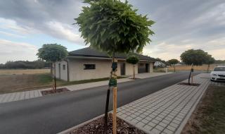 Rodinný dům Pardubice – Staročernsko